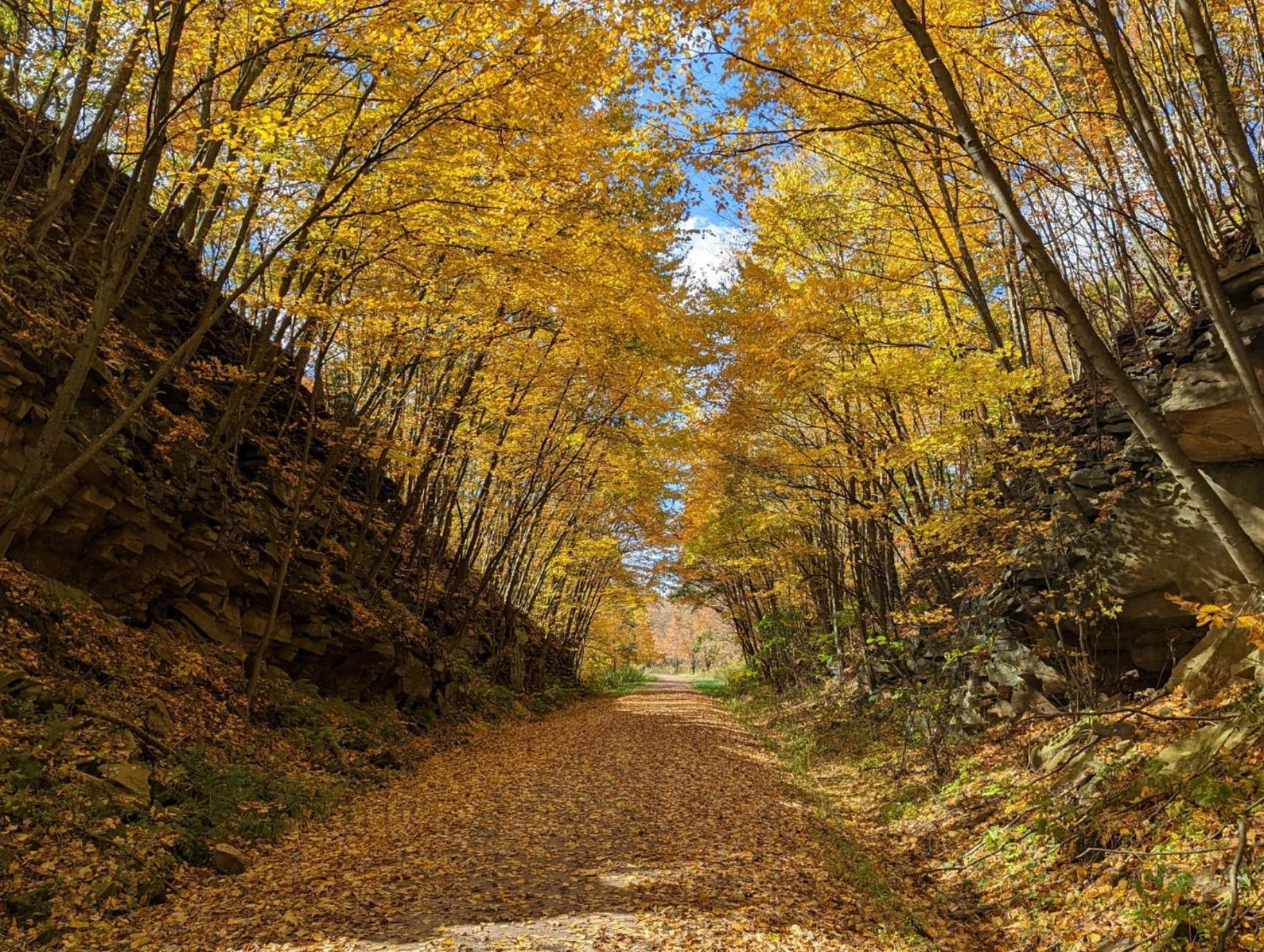 Stay In Ohiopyle Near Gap Trail, Restaurants, & The Fallls Exterior foto